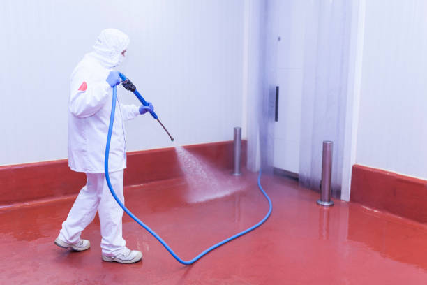 Best Pre-Holiday Cleaning  in University Center, VA